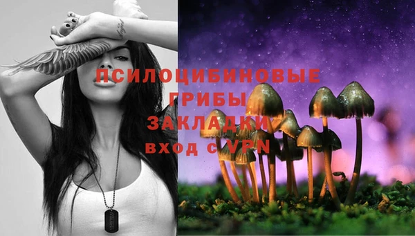 прущие грибы Алексеевка