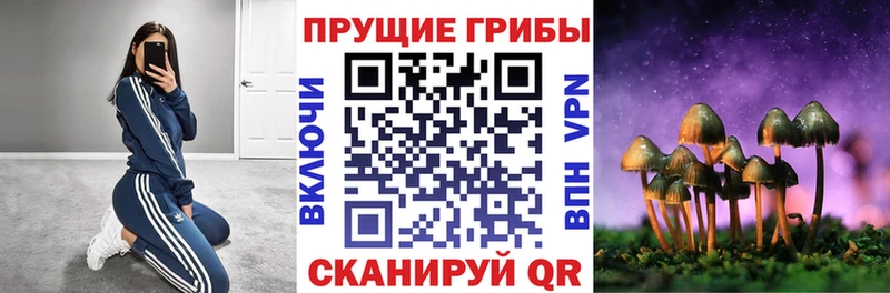 закладка  MEGA как зайти  Псилоцибиновые грибы Cubensis  Тюкалинск 